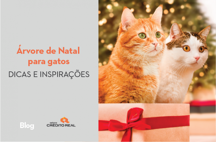 Árvore de Natal para gatos: dicas e inspirações - Blog Crédito Real