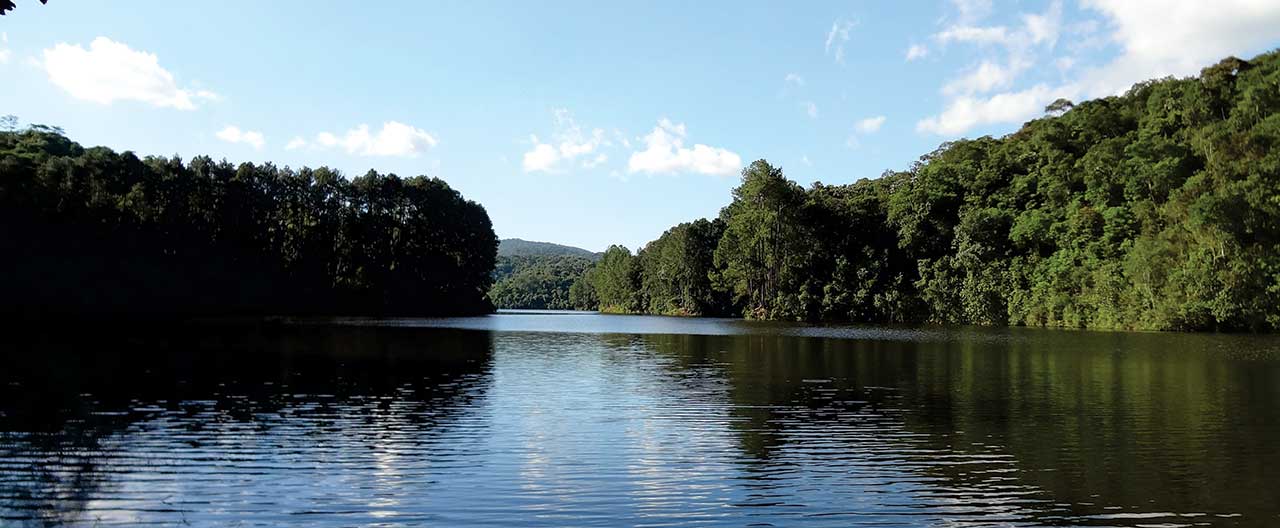 Parque Estadual Cantareira.