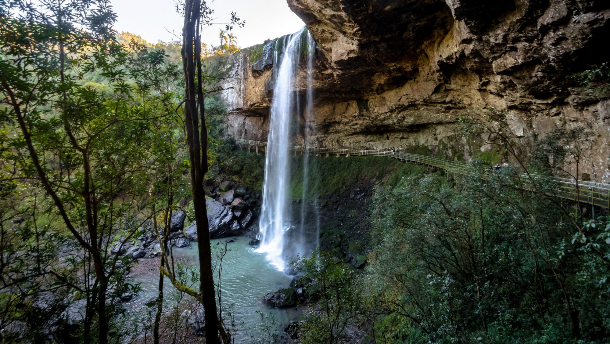 salto ventoso