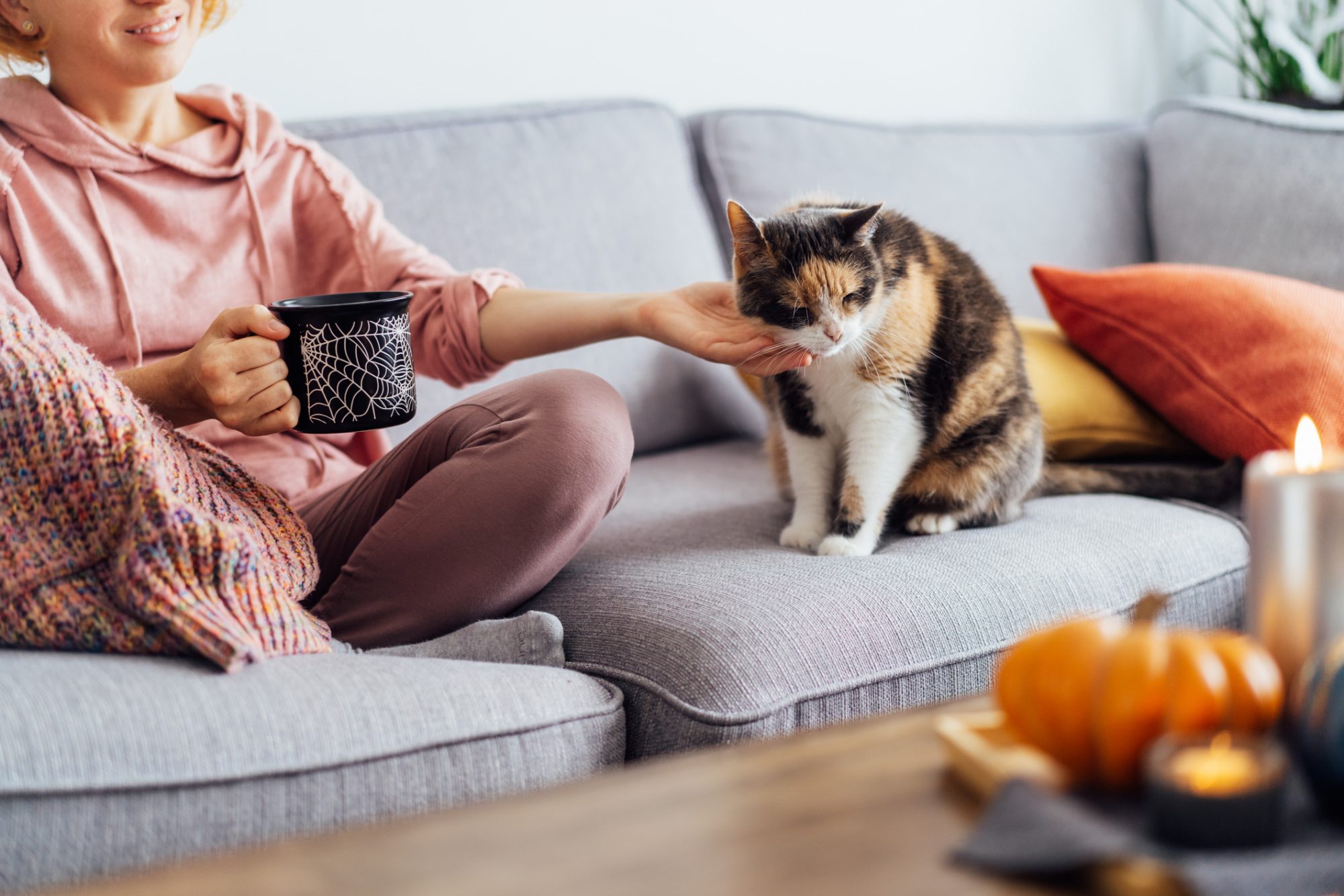 mulher sentada no sofá acariciando um gato.