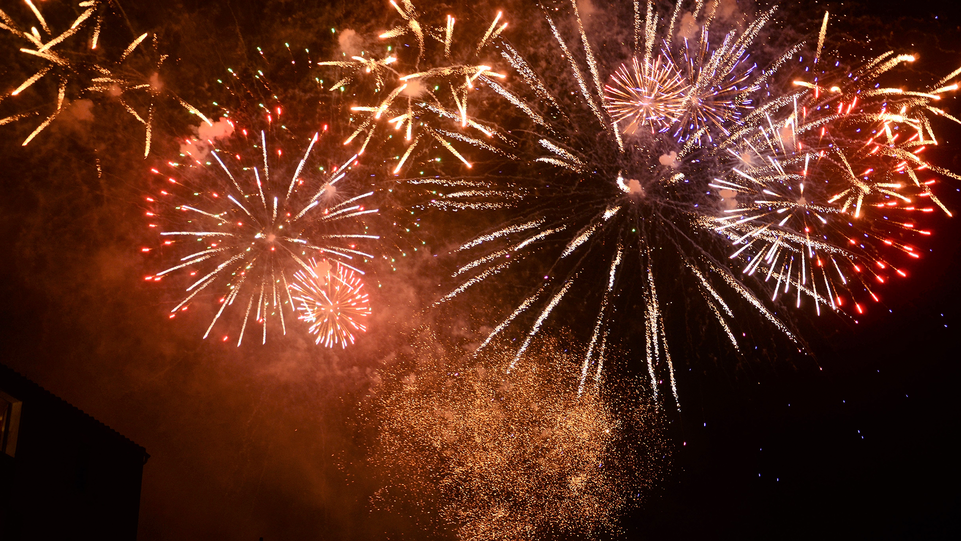 Como proteger os animais do barulho dos fogos de artifício